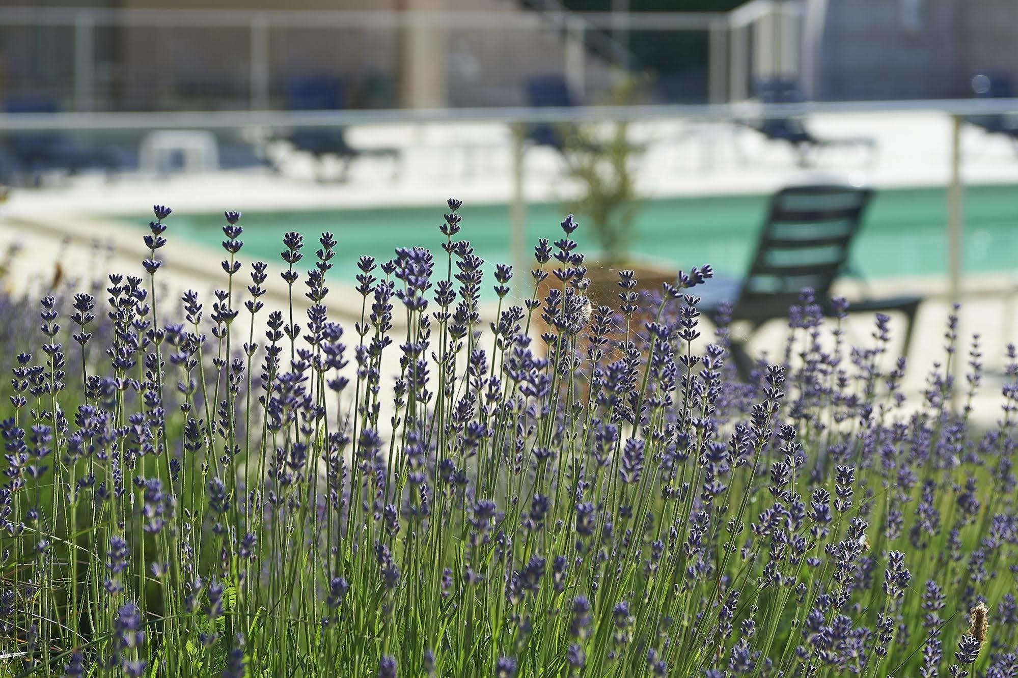Cit'Hotel Les Alizes Лимож Экстерьер фото